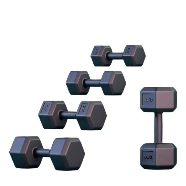 Dumbbell Pair for Men - Image 2